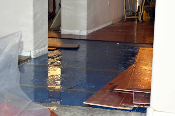 Professional Burst Pipe Cleanup technician working in Hart, TX